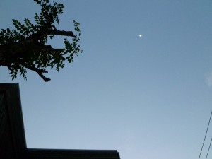 p1010923-800x600