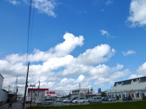p1020063-800x600