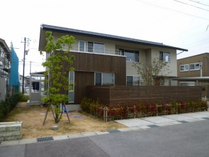 p1020081-800x600