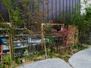 p1020082-800x600