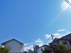 p1020108-800x600