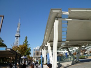 p1020296-800x600
