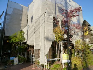 p1020316-800x600