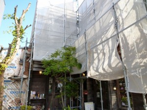 p1020361-800x600