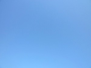 p1020399-800x600