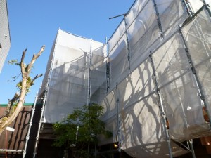 p1020437-800x600