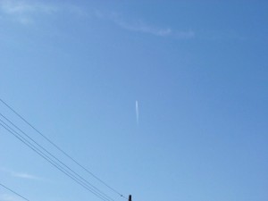 p1020441-800x600