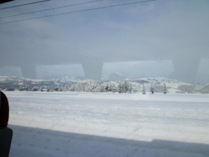 p1020781-800x600