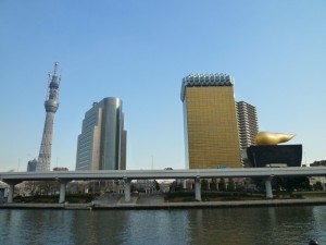 p1020809-800x600