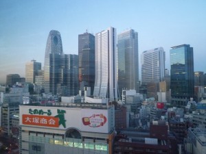 p1020866-800x600