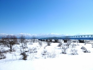 p1020976-800x600