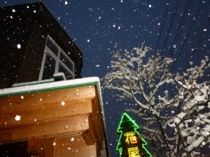 p1030118-800x600
