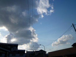 p1030191-800x600