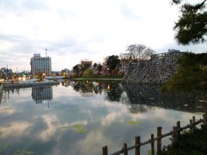 p1030244-800x600