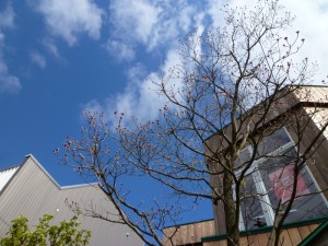p1030282-800x600