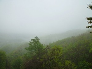p1030440-800x600