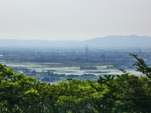 p1030545-800x600
