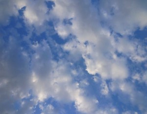 p1030603-800x621