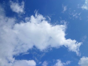 p1030793-800x600