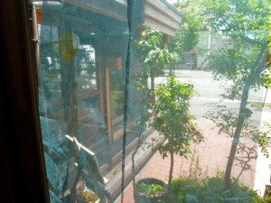 p1030808-800x600