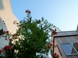 p1030838-800x600
