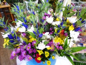 p1040074-800x600