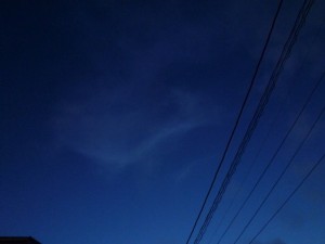 p1040154-800x6001