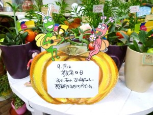 p1040200-800x600