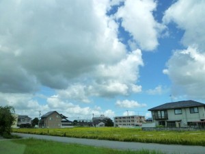p1040221-800x600