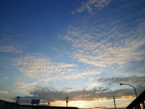 p1040295-800x600