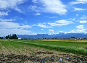 p1040323-800x579