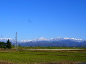 p1040700-800x600