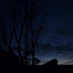 p1050050-800x600