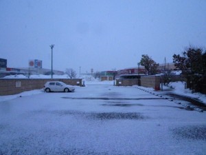 p1050504-800x600