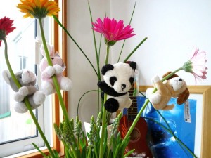 p1050531-800x600