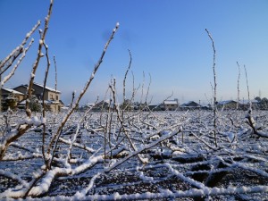p1050636-800x600