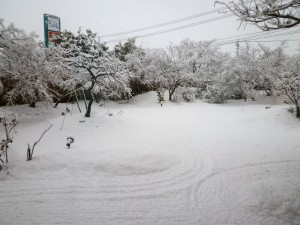 p1050665-800x600