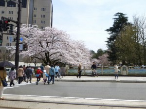 p1050762-800x599