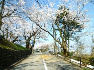 p1050775-800x600